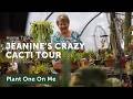 Crazy Cacti Chaos SUCCULENT CACTI TOUR With Jeanine Ep 421