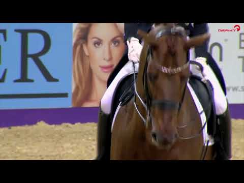 Vitalis Hengstkollektion Englisch 2019