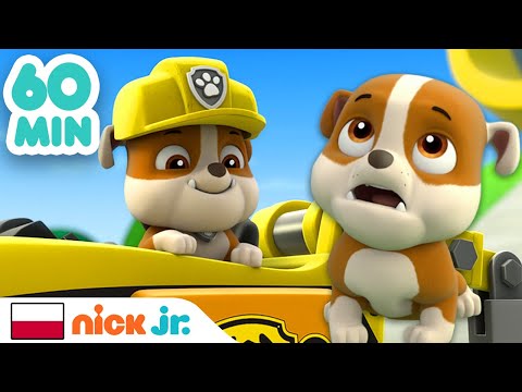 Psi Patrol | Godzina niesamowitych przygód Rubble'a | Nick Jr.