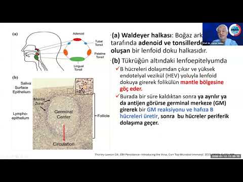 EKMUD Doğu Güneydoğu Günleri 13 Ocak 2026