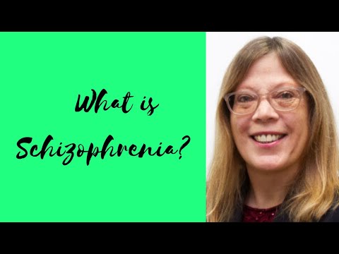 Positive and Negative Symptoms of Paranoid Schizophrenia