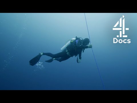 What Will They Find During the Deepest Dive to Date in the Galapagos Islands?