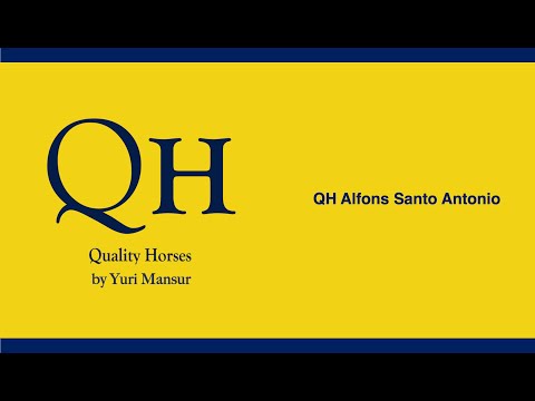 QH Alfons Santo Antonio & Yuri Mansur - ROLEX Grand Prix CHIO Aachen 2022