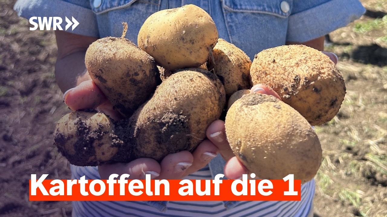 Rund um die Kartoffel: Alte Sorten, neue Rezepte, regionaler Genuss | SWR Treffpunkt