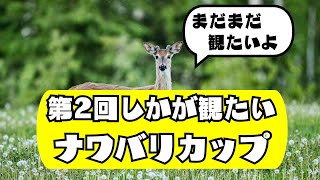 【スプラ3】第2回しかが観たいナワバリカップ【運営配信】