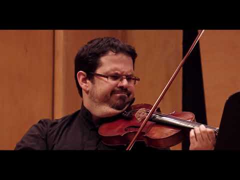 Guy Figer & Ron Tratchman: Schubert sonatina in g minor op.137 no.3 D.408 4th mvt.