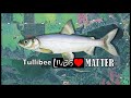 Video Thumbnail for Late Ice Fishing Tullibee (Cisco) with PK Spoon and Humminbird Helix 7, Pasqua Lake Saskatchewan