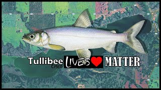 Late Ice Fishing Tullibee (Cisco) with PK Spoon and Humminbird Helix 7, Pasqua Lake Saskatchewan