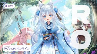 【 #ラグナロクオンライン 】訓練の間びゅんびゅんしながらのんびり雑談♪金策がんばるぞ！【Vtuber狐狐音の前】