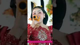 Download lagu campursarine wong due gawe#purwowilis mp3 Download lagu campursarine wong due gawe#purwowilis mp3