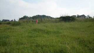 I'm Free                (The Rolling Stones )