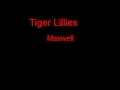 Tiger Lillies Maxwell + Lyrics