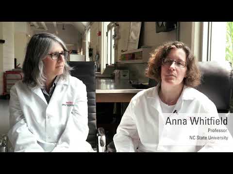 Anna and Dorith  Faculty Recruitment