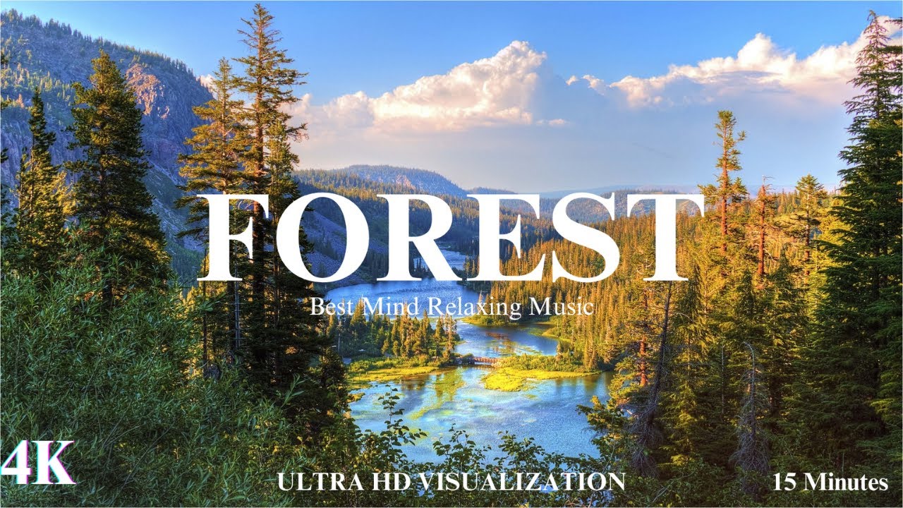 Forest 4k - Nature Relaxation | Best Mind Relaxing Music | 15 Minutes of 4K UltraHD Visualization