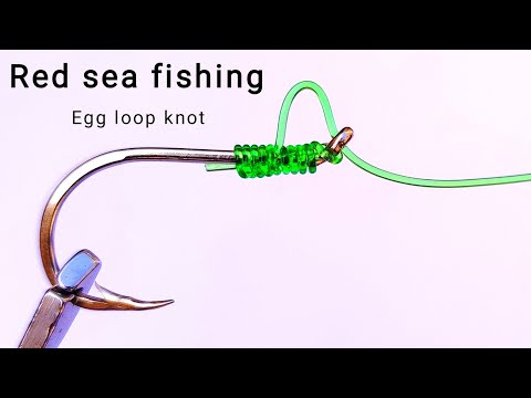 Fishing Knots: Egg Loop Knot - How to Tie an Egg Loop Knot ll 100% Reliable