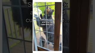 I have generational bear friends #wholesome  #animals