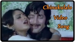 Chinukulalo Video Song  Rahasya Goodachari Movie  