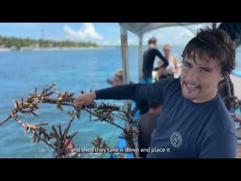 Coral reef restoration in Nusa Penida - a vlogumentary by Go Ocean