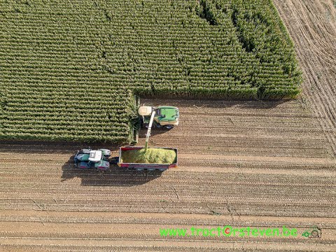 Krone Big X 780 OptiMaize 900-3 ("DEMO" via Krone Spelle) -Vanhove CVBA Landbouwmachines (Tongeren)