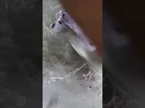 fresh jabun tawa ice cream