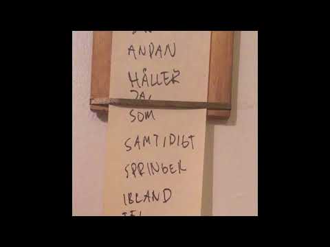 Den svenska björnstammen - Bara skog (lyrics)