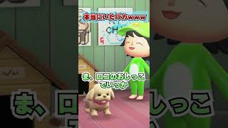 尿検査で犬のおしっこ出すバカwww [あつまれどうぶつの森]
