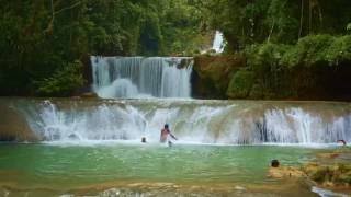 Download lagu Tanah Kelahiranku - Eric Donaldson mp3 Download lagu Tanah Kelahiranku - Eric Donaldson mp3