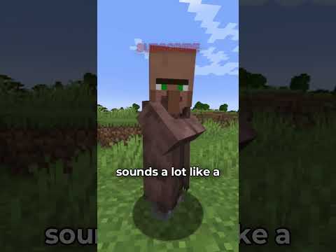 The RAREST Villager in Minecraft