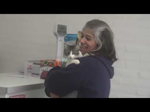 CLINICA VETERINARIA -DR RODRIGO MARQUEZ -GRAL LEVALLE