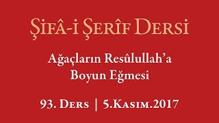 Şifa Dersi: Resulullah'a Yol Veren Ağaç