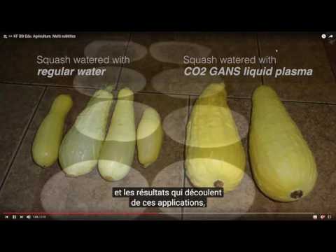 2016 12 15 PM Public Teaching in French - Enseignements publics en français