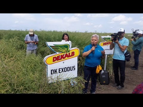 Ziua Rapitei DEKALB la ferma Valenii Doamnei