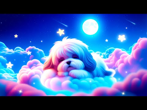 Zaspite u 2 minute, glazba za spavanje ♫ Ublažavanje stresa i tjeskobe, opuštanje, zbogom nesanici