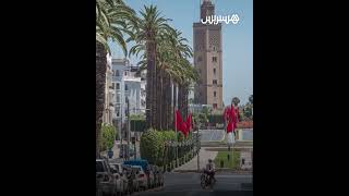 حملة بيئية تنتقد "التنخيل العشوائي" وتطالب المدن باعتماد التشجير المنهجي thumbnail
