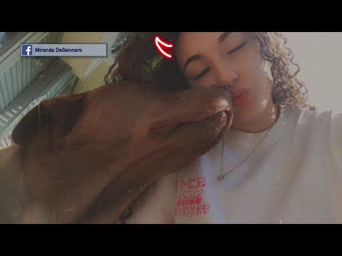 NJ Sussex County Montague Township Pit Bull Death