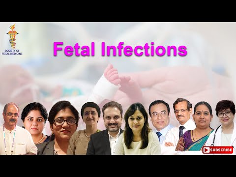 Fetal Infections