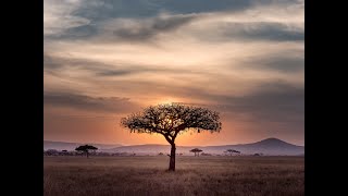 Prince kaybeee ft Mampintsha ft Peekay Mzee &amp; KamzaHeavyPoint As Trende