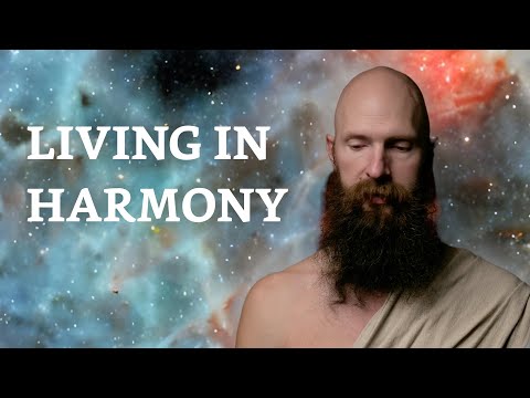 In Kosambī -  Kosambiyā Sutta  (MN 48)