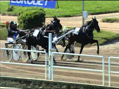 Trotto 30/04/2016 - 6 ° Corsa Batteria A