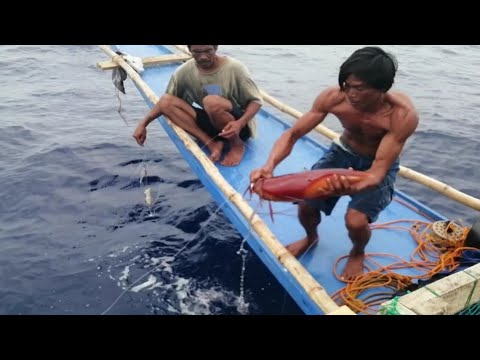 catching giant squid[season 3 ]4rth attempt bago pa nakuha!