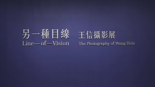 Line of Vision－The Photography of Wang Hsin