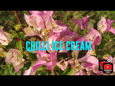 ID-Chilli Ice Cream..