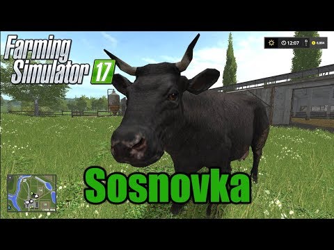 Farming Sosnovka - Milk Production