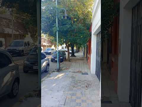 😱 ¡MIRÁ! Encontré la casa de Los Argento caminando por Florida… ¿La reconocés?