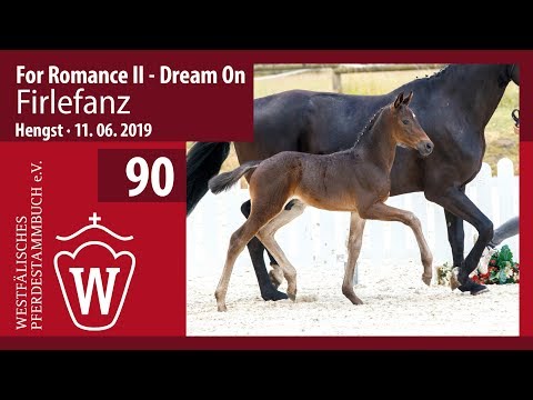 90 Firlefanz Hengst v. For Romance - Dream On