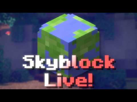 Alloyproxy 15