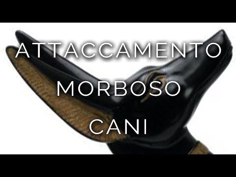 1247-IT Claudia, ATTACCAMENTO MORBOSO CANI - Ipnosi Esoterica ∞ Lucio Carsi