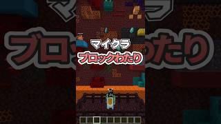スキマはダメッチ【マインクラフト】#minecraft  #マイクラ #マインクラフト #ゲーム実況 #ゆきりすひろば #ショート #shorts  #short  #実況