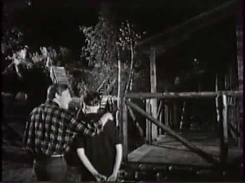 Milan Drobný - Máš hvězdy v očích (1966)