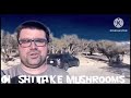 All Oh Shiitake Mushrooms Intros 2016 2023